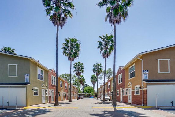 Front view of two-story townhouses with garages and palm trees lining the street.