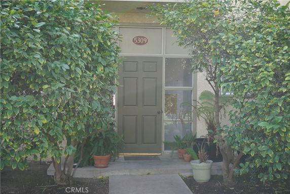 Front view of an entrance door with potted plants and surrounding greenery.
