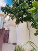 cacrmls/1eed5e1c46c1b74397499468376b0d05.jpg?width=131&height=105&format3=webp