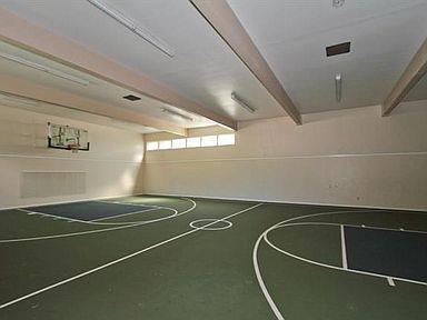 Indoor basketball court with green flooring and basketball hoop.