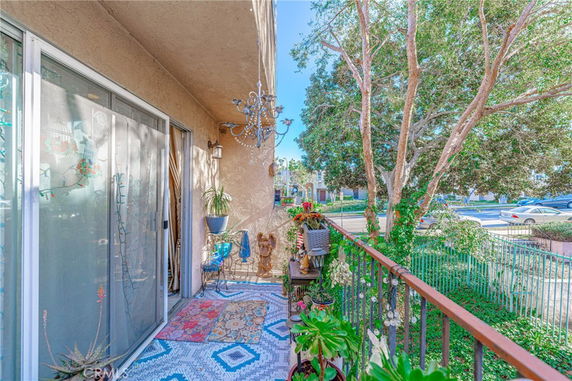 View from a balcony with plants, overlooking a tree-lined street.