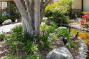 cacrmls/1f729626e64841fd7691f8143457a7f5.jpg?width=131&height=105&format3=webp