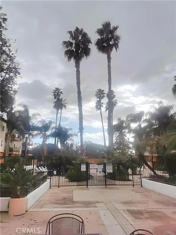 View of palm trees and surrounding buildings in a courtyard setting.
