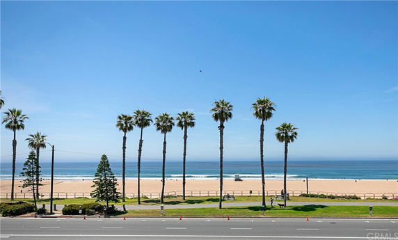Panoramic view of a beach with palm trees and ocean in the background.
