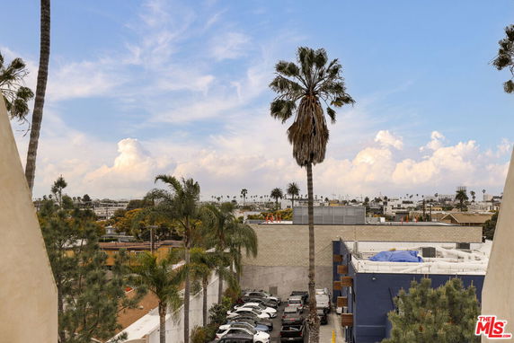 Wide view of a cityscape with palm trees and buildings under a blue sky.