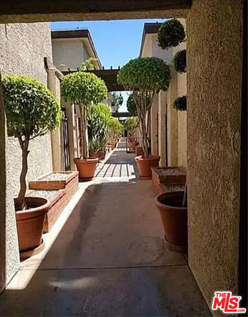 Pathway with potted trees between buildings.
