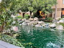 cacrmls/23547d5ccabe38901ad0dbbd7b07dfea.jpg?width=131&height=105&format3=webp