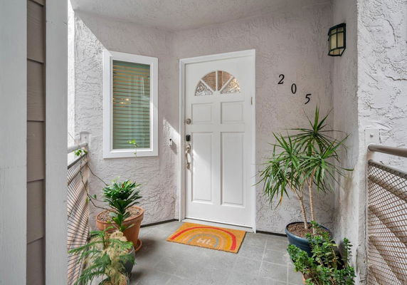 Front view of an entrance with a white door, window, and potted plants.