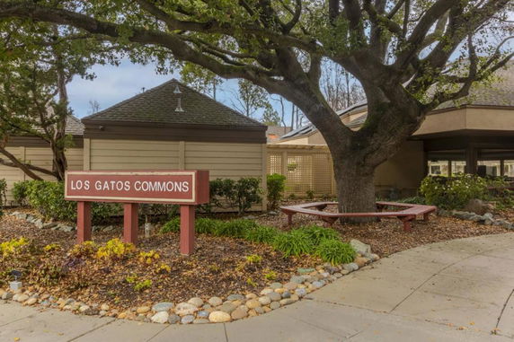 Front view of a building with a large tree and a sign reading 'Los Gatos Commons'.