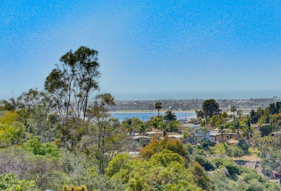 Panoramic view of a residential area with trees and water in the background.