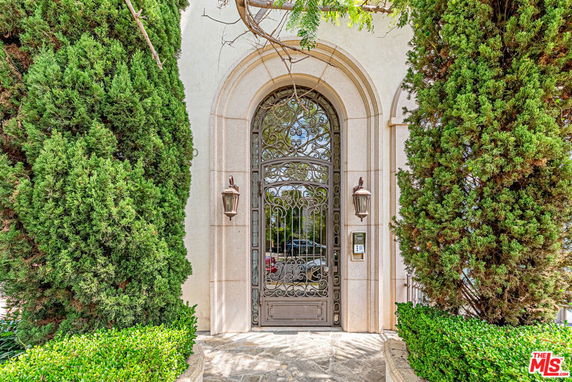 Front view of a building entrance with a decorative metal door and arched frame