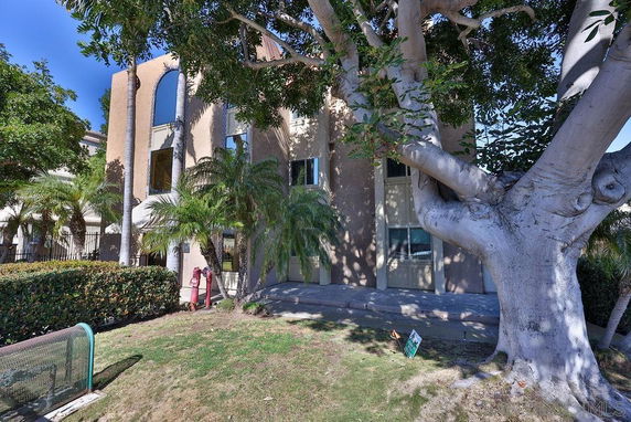 Front view of a building with large windows and a tree in front.