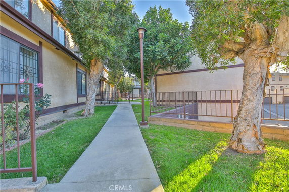 Pathway beside a building with windows and trees along the sides.