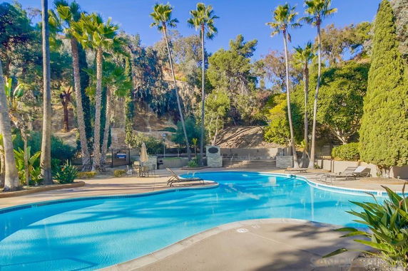 Outdoor swimming pool area surrounded by palm trees and greenery.