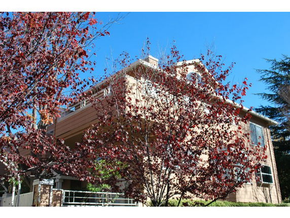 Front view of a multi-story house partially obscured by trees.