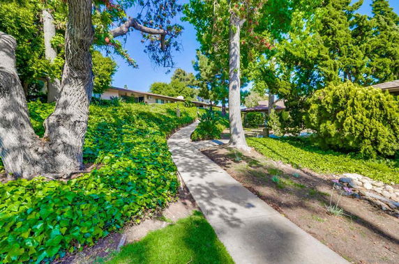 Pathway lined with greenery leading to a residential area.