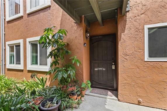 Front view of a building with a textured wall and potted plants near the entrance.