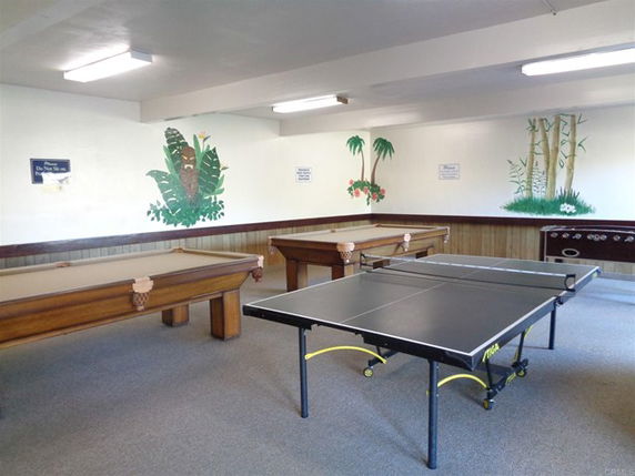 Room with billiards and table tennis setups.