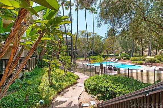 Outdoor swimming pool area surrounded by trees and greenery.