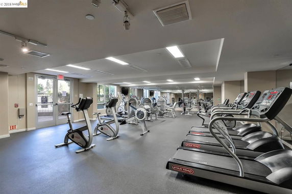 Interior view of a gym with exercise machines and treadmills.