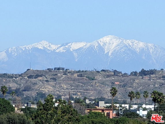 Wide-angle view of mountainous landscape with snow-capped peaks and foreground vegetation.