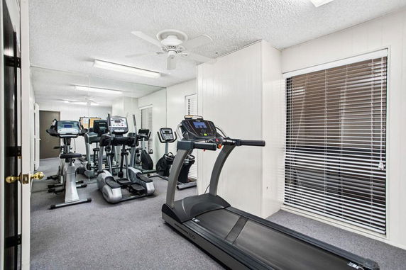 Exercise room with multiple cardio machines.