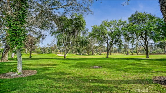Open grassy area with trees and clear blue sky.