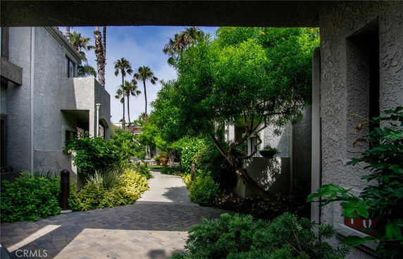 Pathway between buildings with trees and shrubs.