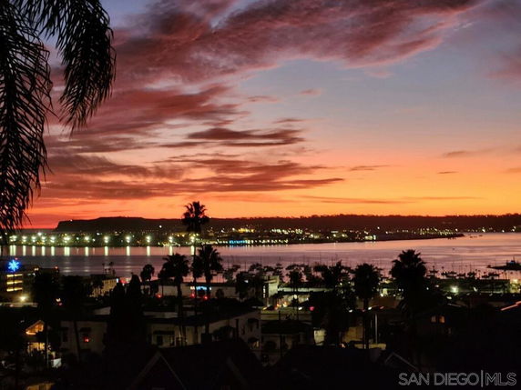 Panoramic view of a coastal area with buildings and palm trees during sunset.