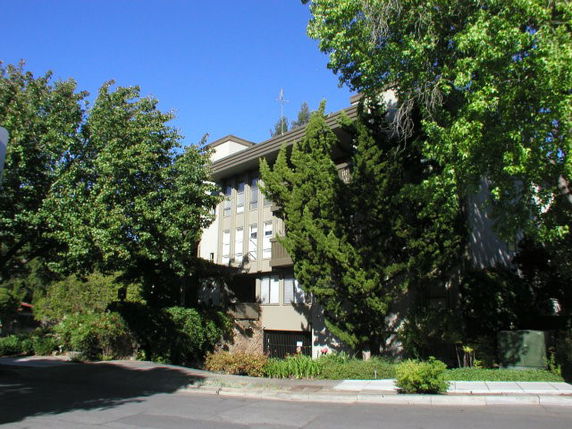 Front view of a multi-story building partially obscured by trees.