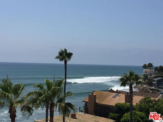 Panoramic view of the ocean with houses and palm trees in the foreground.