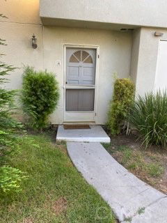 Front view of a door entrance with a small concrete path and plants on either side.
