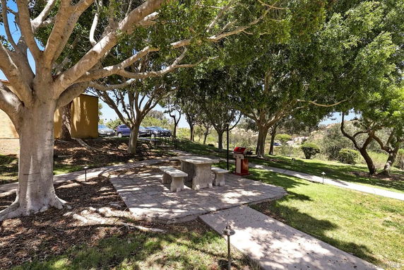 Outdoor area with trees, picnic table, and a barbecue grill.