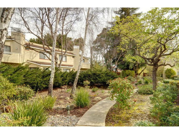 Front view of a multi-story house surrounded by trees and shrubs.