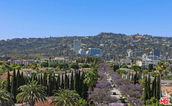 Panoramic view of a cityscape with a road lined with jacaranda trees and distant hills.
