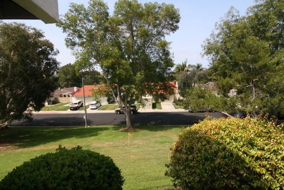 View from a building showing a street with parked cars and houses surrounded by trees.