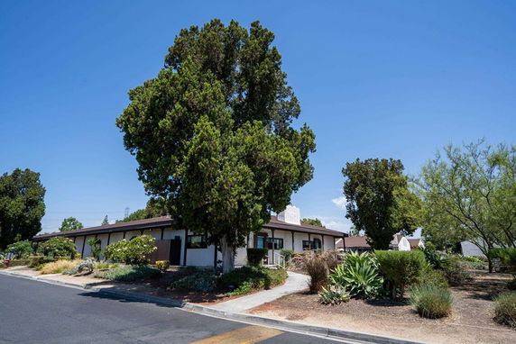 Front view of a single-story house with trees and a walkway.