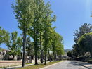 cacrmls/2fea97c7d2987bcce8d273d5110d31a5.jpg?width=131&height=105&format3=webp