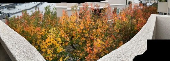 Panoramic view of colorful trees and rooftops from a building.