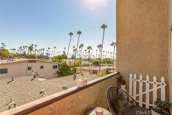 View from a balcony overlooking rooftops and tall palm trees.