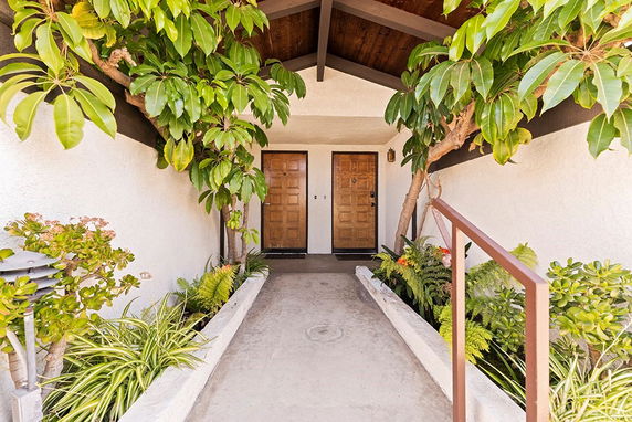 Entrance of a house with a wooden door and plants on either side.