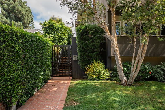 View of the front garden with a pathway leading to a gated entrance, surrounded by tall hedges and trees.