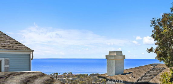 View of the ocean and distant rooftops from a higher elevation.