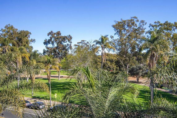View of a green park area with trees and a road nearby.