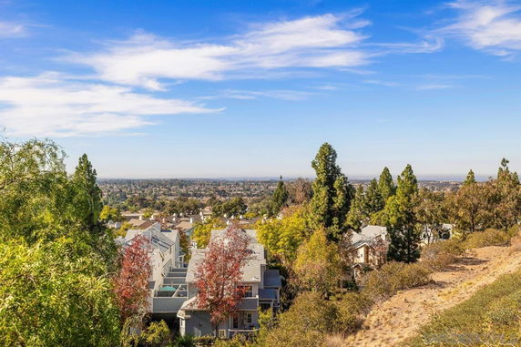 Panoramic view of a residential area with trees and distant cityscape.