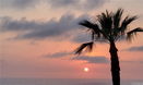cacrmls/33c0b34df3d42f334bd4d6c7ec31a279.jpg?width=131&height=105&format3=webp
