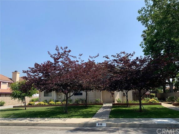 Front view of a single-story house partially obscured by trees.