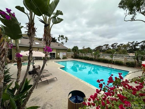 Outdoor swimming pool area with sun loungers and umbrellas surrounded by greenery.