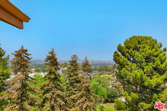 Panoramic view of a city skyline with trees in the foreground.