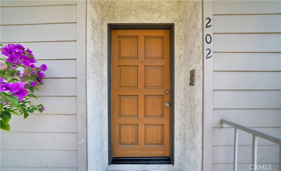Front view of a house entrance with a wooden door and number 202.